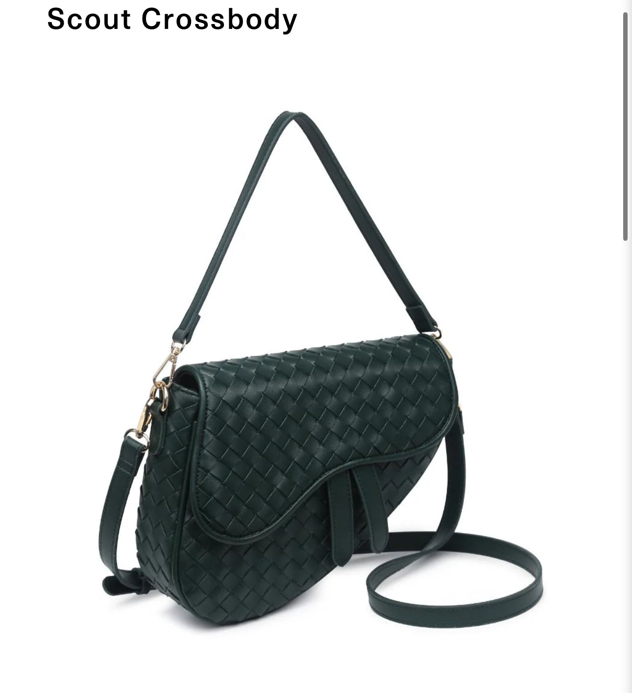 34964 Cartera verde