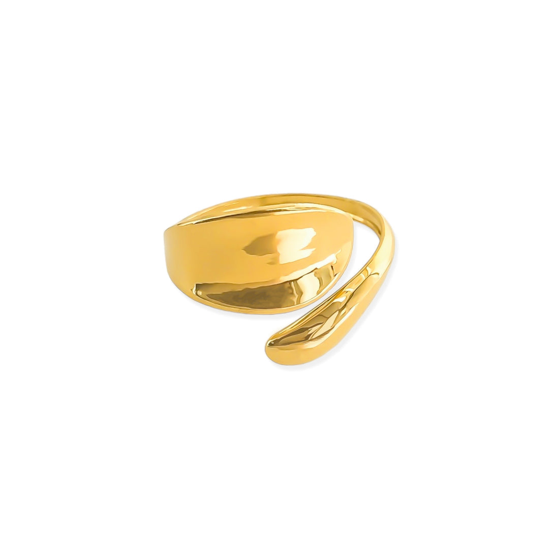 S1R028 Anillo Doble